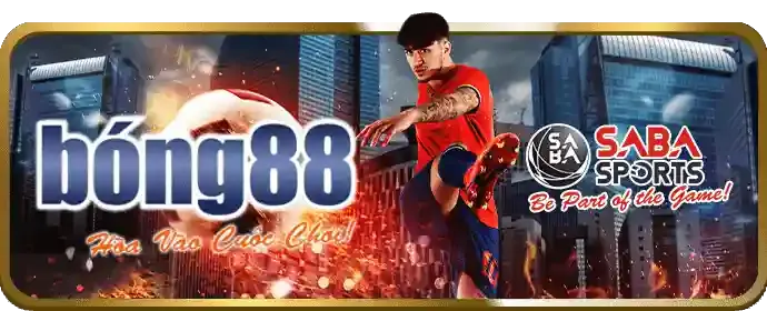 Hoàn trả cực cao và tiền thưởng